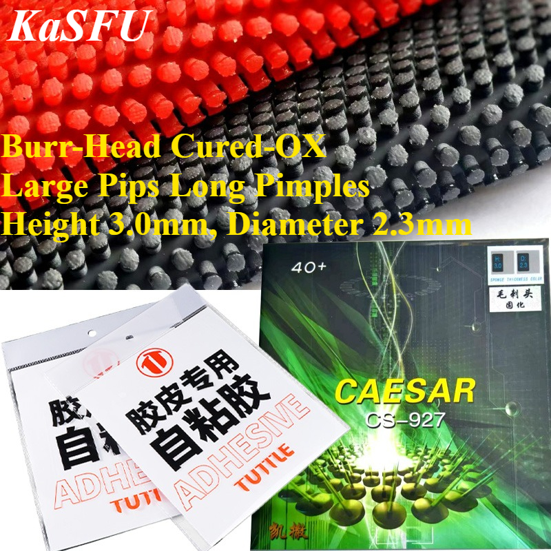 Table Tennis Height - KaFSU Multi-Layer Cured OX Table Tennis