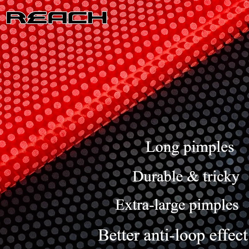 Reach C-8 C-801 Table-tennis R - Table Tennis Height ulasan dan harga