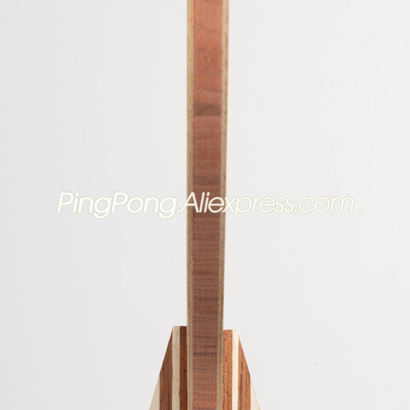 Original SANWEI Defence Alpha  - Table Tennis Form ulasan dan harga
